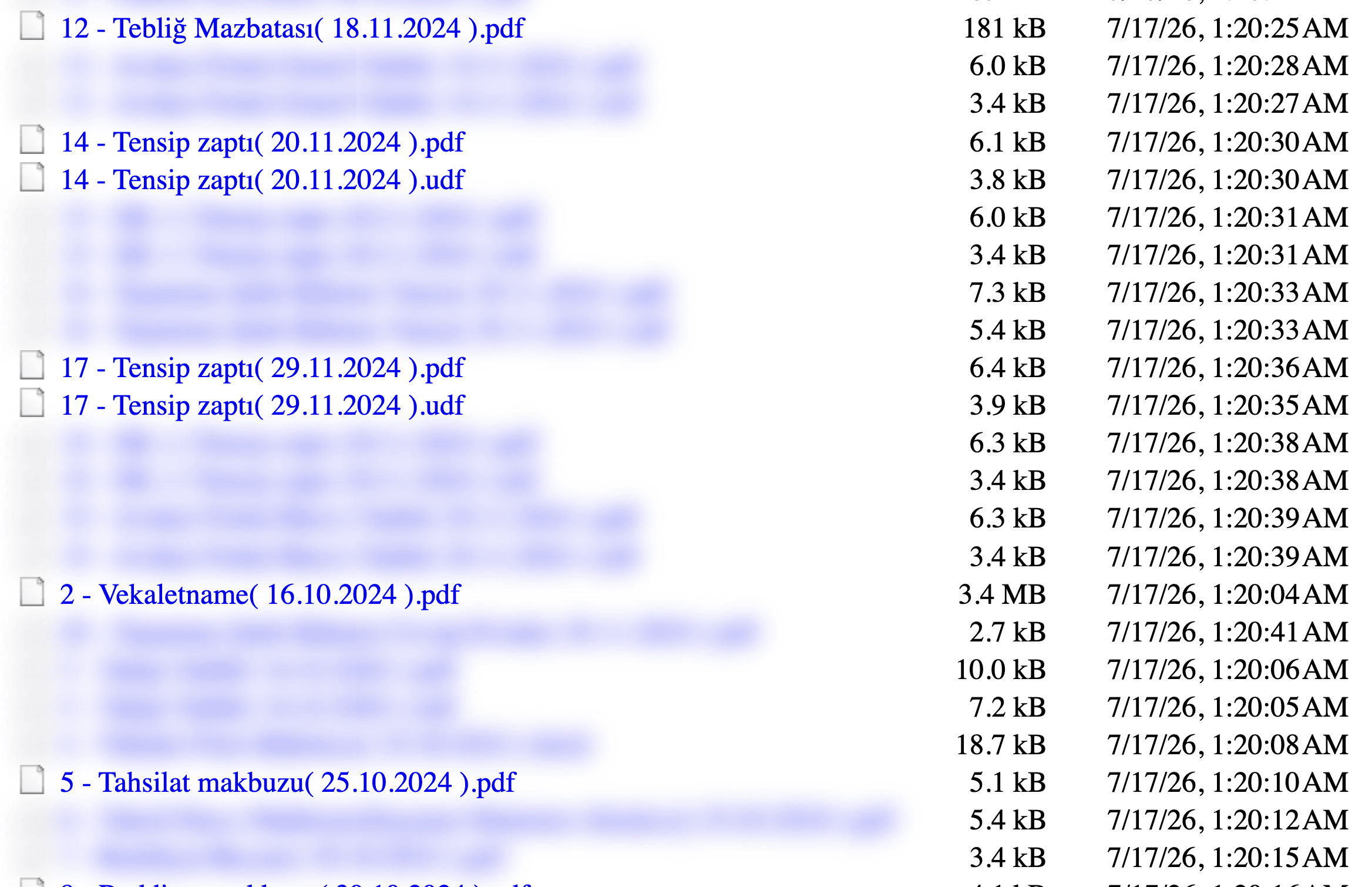 Arşivde UDF ve PDF kopyasının yan yana görünümü
